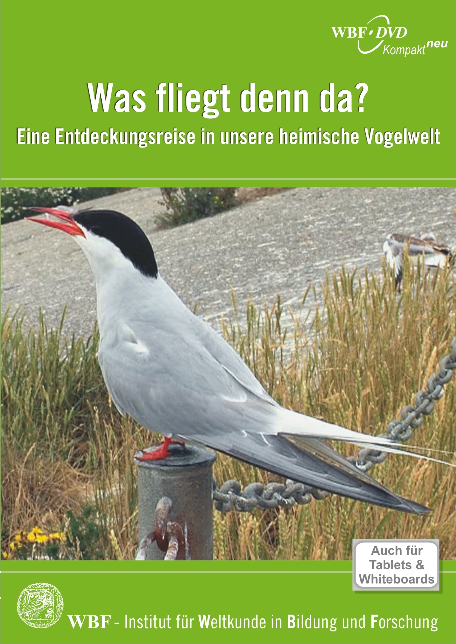 Was fliegt denn da? WBF Innovative Medien für den Unterricht
