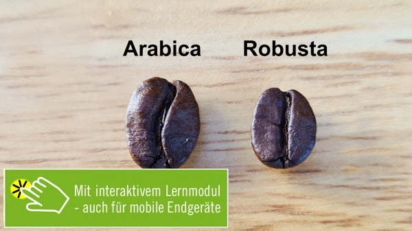 Grundwissen agrarische Rohstoffe 2 [Mit interaktivem Lernmodul]