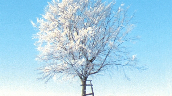 Die Jahreszeiten im Rhythmus der Natur