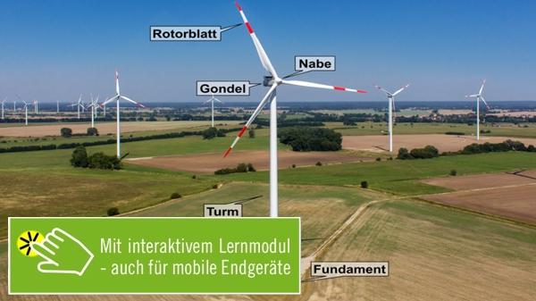 Grundwissen erneuerbare Energien 1 [Mit interaktivem Lernmodul]